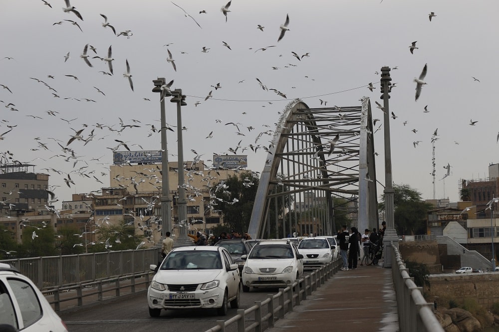 White Bridge Ahvaz